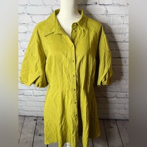 Zara kiwi green button front mini dress xl